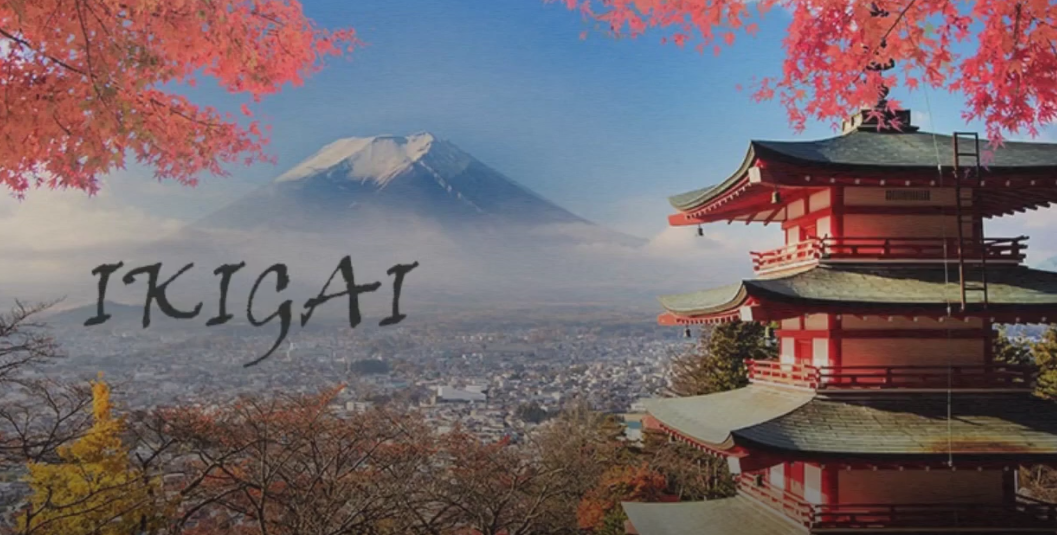 Ontdek jouw Ikigai.